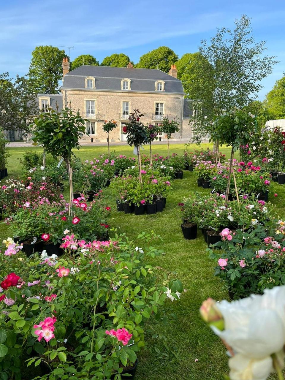 Bed and Breakfast Le Manoir Du Ribardon Neuvy-au-Houlme Exteriér fotografie